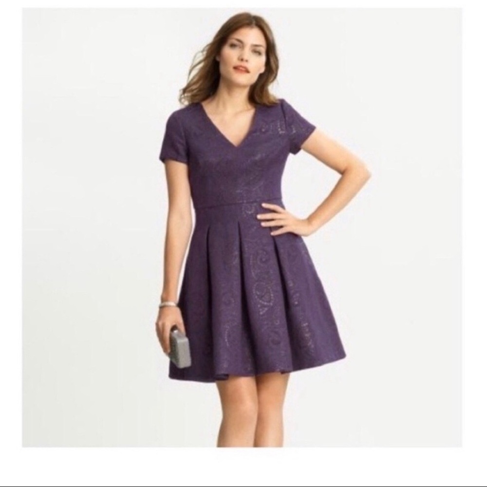 Banana Republic Women Fit and Flare Jacquard Dress